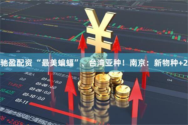 驰盈配资 “最美蝙蝠”、台湾亚种！南京：新物种+2